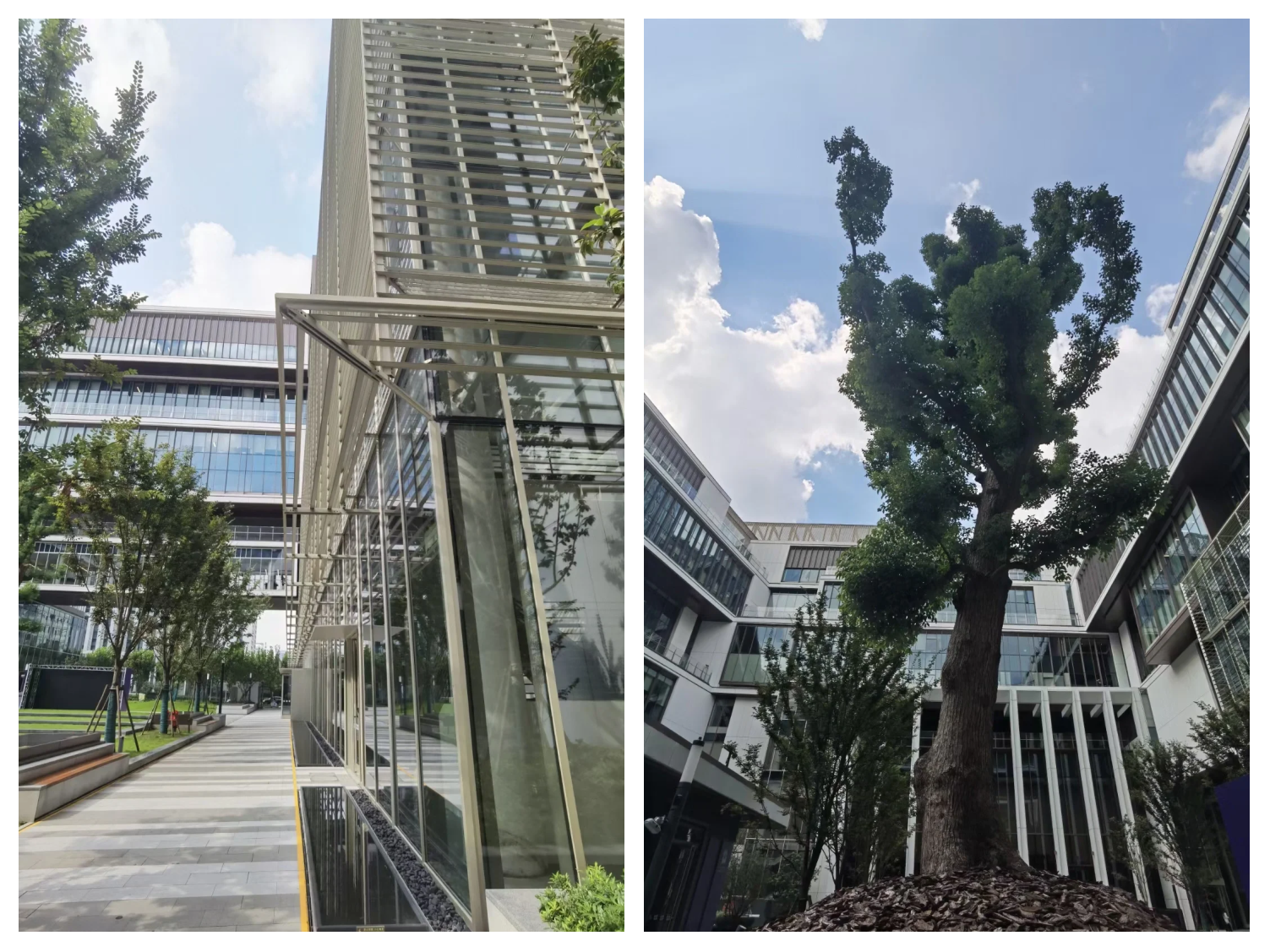 上海新增︰(上海新增大学)-第1张图片
