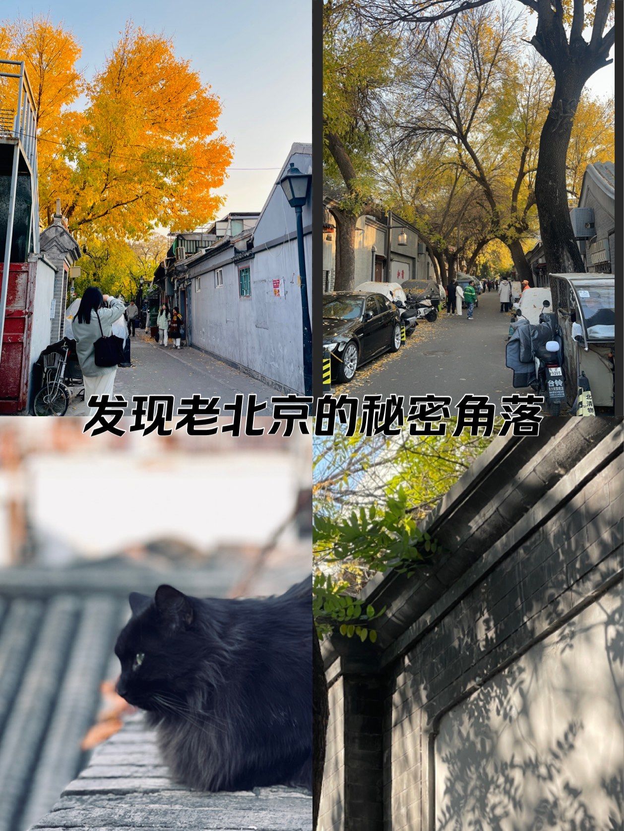 现在去北京需要隔离吗〃现在去北京是否需要隔离-第3张图片