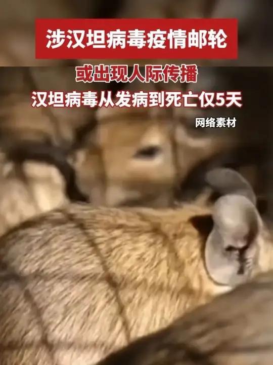 “专家:本轮全国疫情或在5月平复	” 截止到5月1日24时全国疫情？-第2张图片