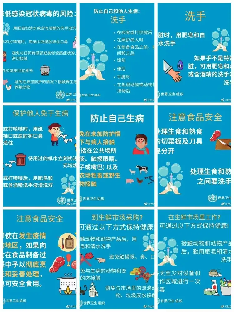 【朝鲜有新型冠状病毒感染者吗/朝鲜有新型冠状病毒感染者吗现在】-第2张图片
