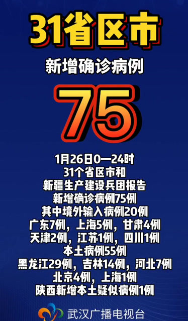 31省区市新增确诊病例31例︰(31省区市新增确诊32例)-第2张图片