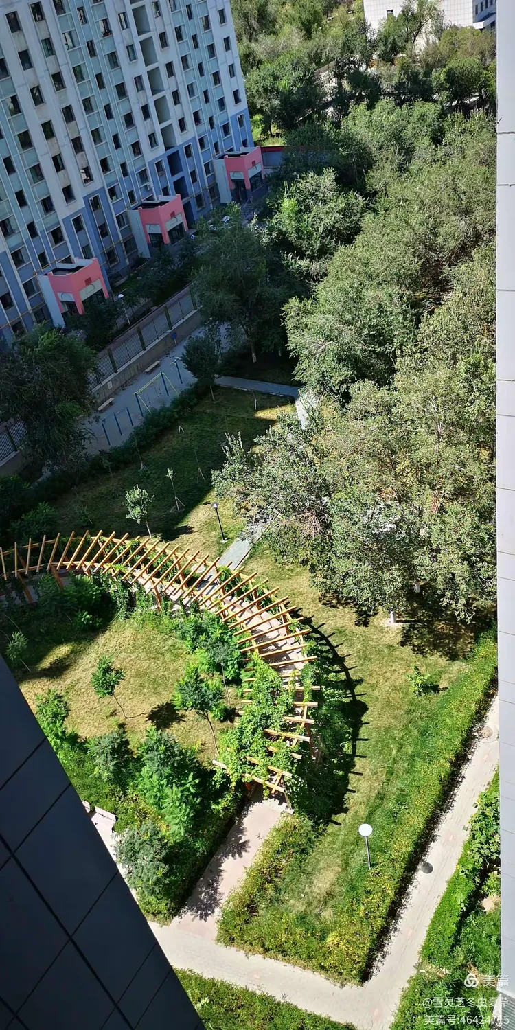 呼市疫情〃呼市疫情星光a9小区事件-第3张图片